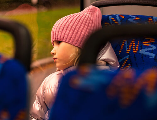 Acompanyant transport escolar per Andorra la Vella